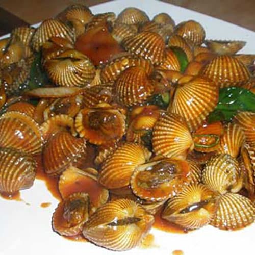 Bia Shellfish