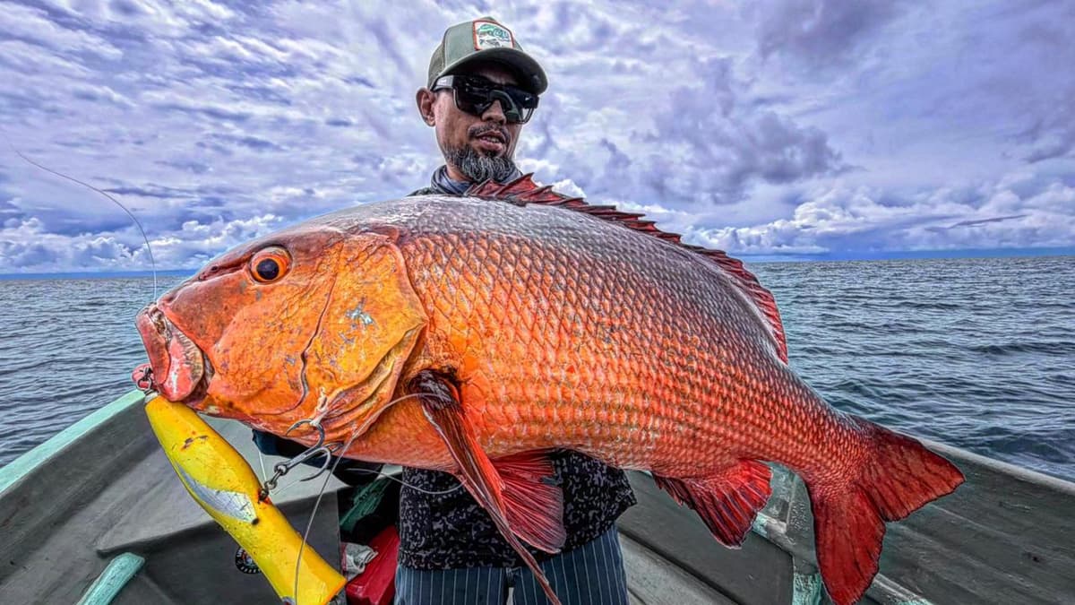 Deep sea fishing Kei Kecil