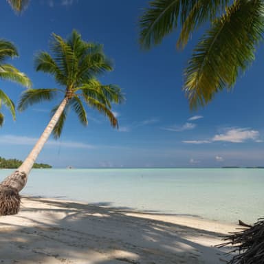 Ohoider Tawun gallery