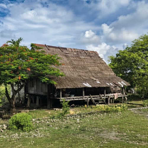 Traditional House